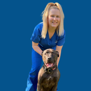 Meet the Team - Alyssa