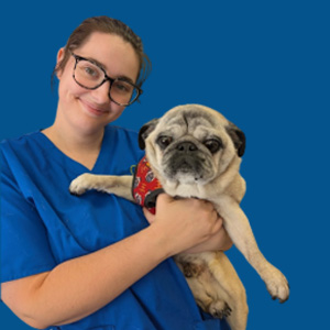 Meet the Team - Annabel