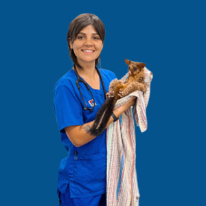 Meet the Team - Briah