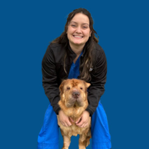 Meet the Team - Clare