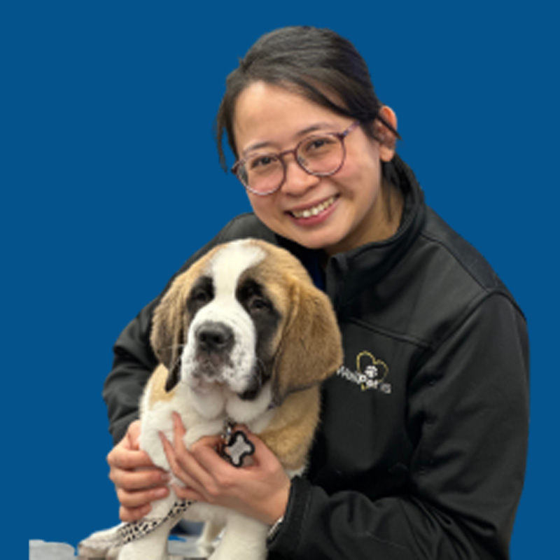 Meet the Team - Dr Eva