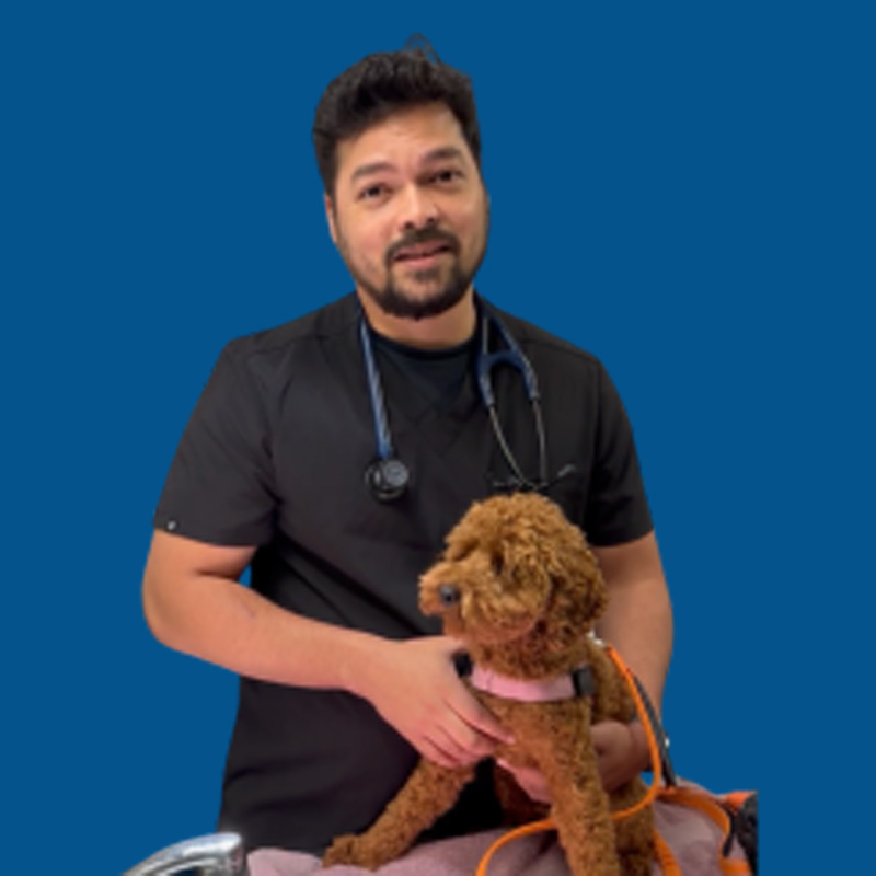 Meet the Team - Dr Fred