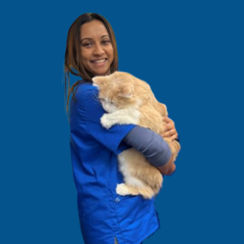 Meet the Team - Dr Monika
