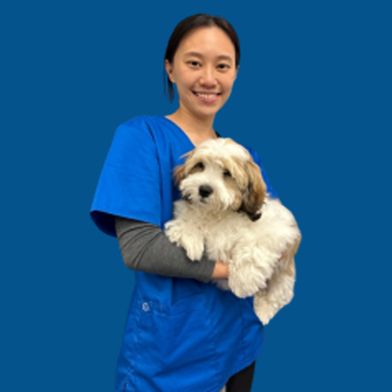 Meet the Team - Dr Qing
