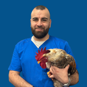 Meet the Team - Dr Rami