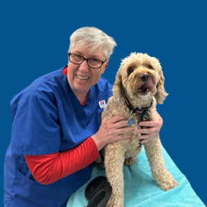 Meet the Team - Dr Shirley