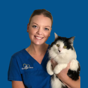 Meet the Team - Haylee
