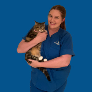 Meet the Team - Kaitlyn
