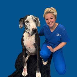 Meet the Team - Miranda