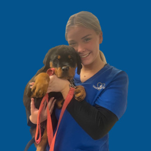 Meet the Team - Rosie