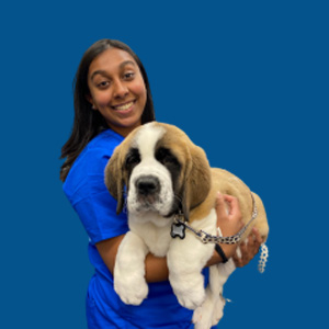 Meet the Team - Serena