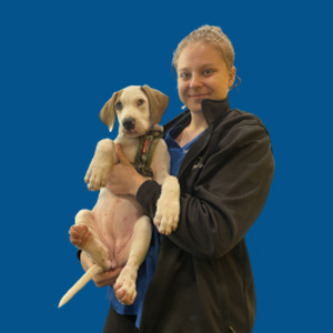 Meet the Team - Shaylee