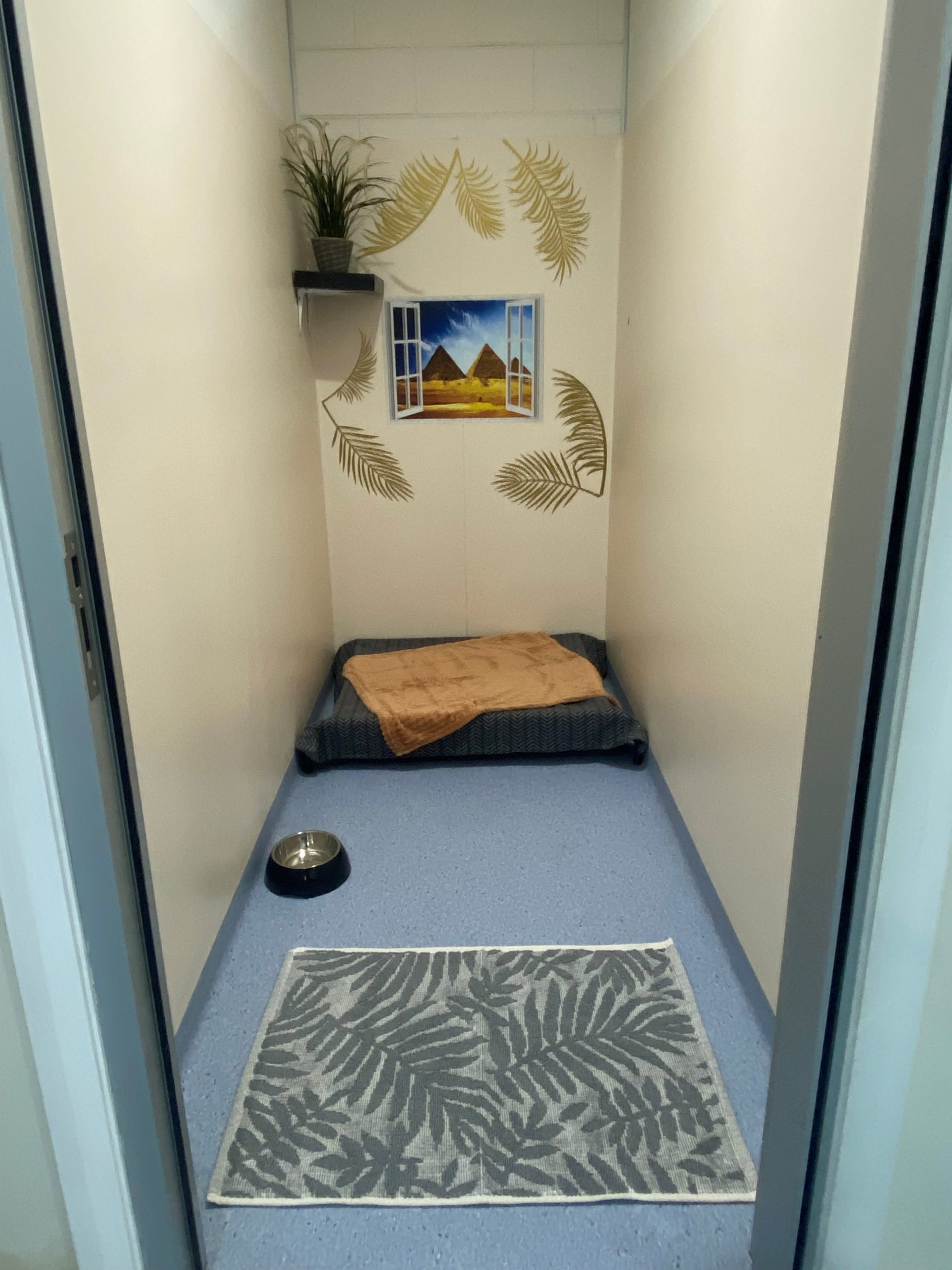 Pet Hotel - Egypt
