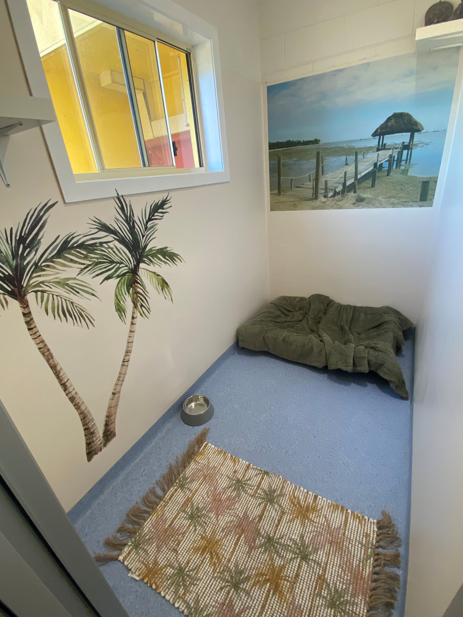 Pet Hotel - Fiji
