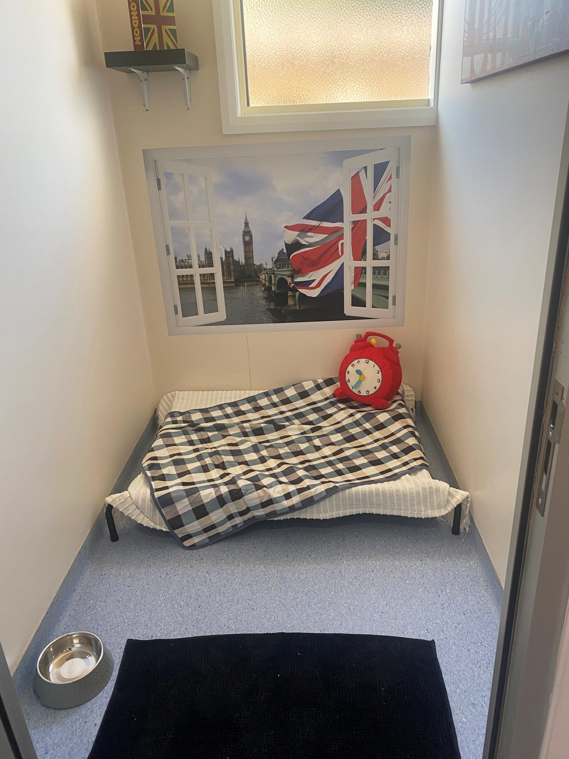 Pet Hotel - London