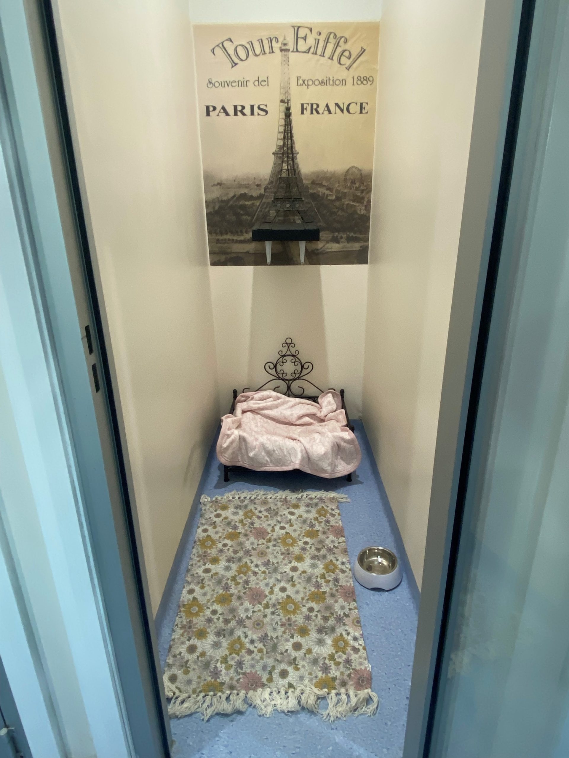 Pet Hotel - Paris