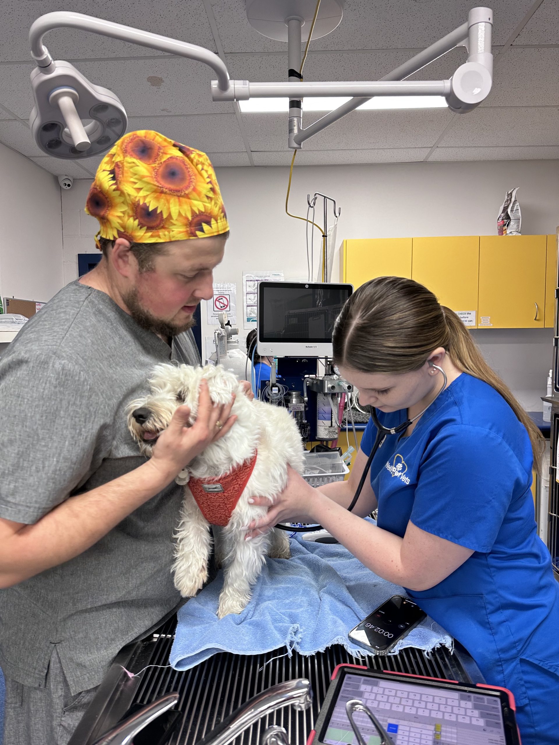 WellPet Vets - About Us Gallery - 04