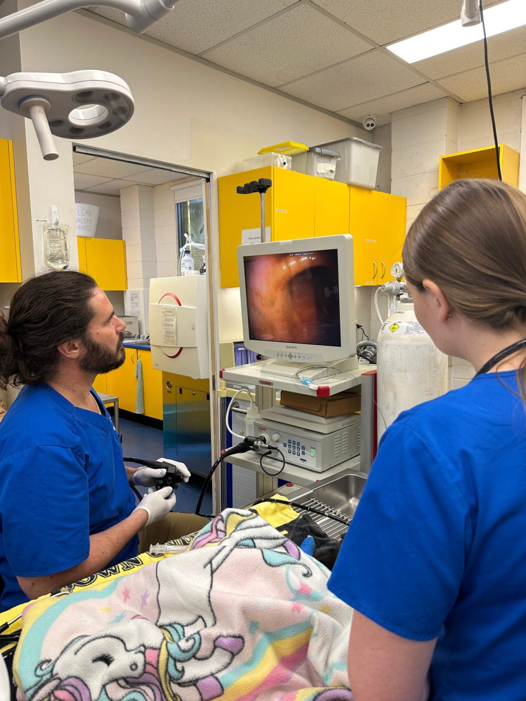 WellPet Vets - Emergency & Critical Care - Gallery 05