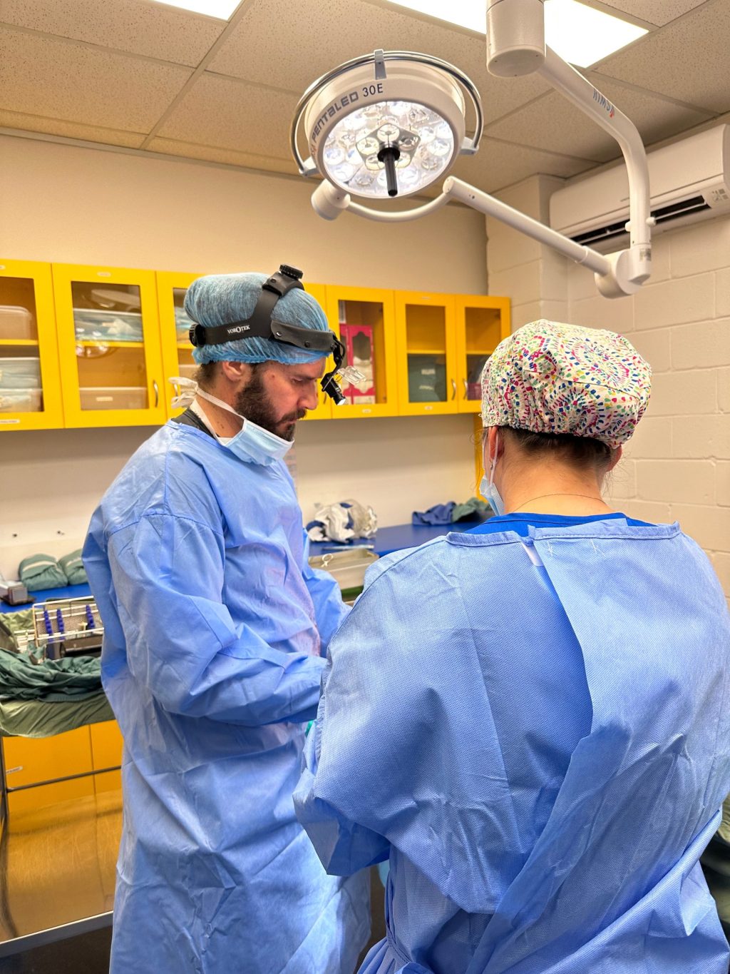 WellPet Vets - Emergency & Critical Care - Gallery 06