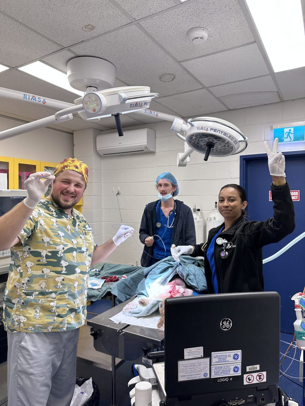 WellPet Vets - Emergency & Critical Care - Gallery 09