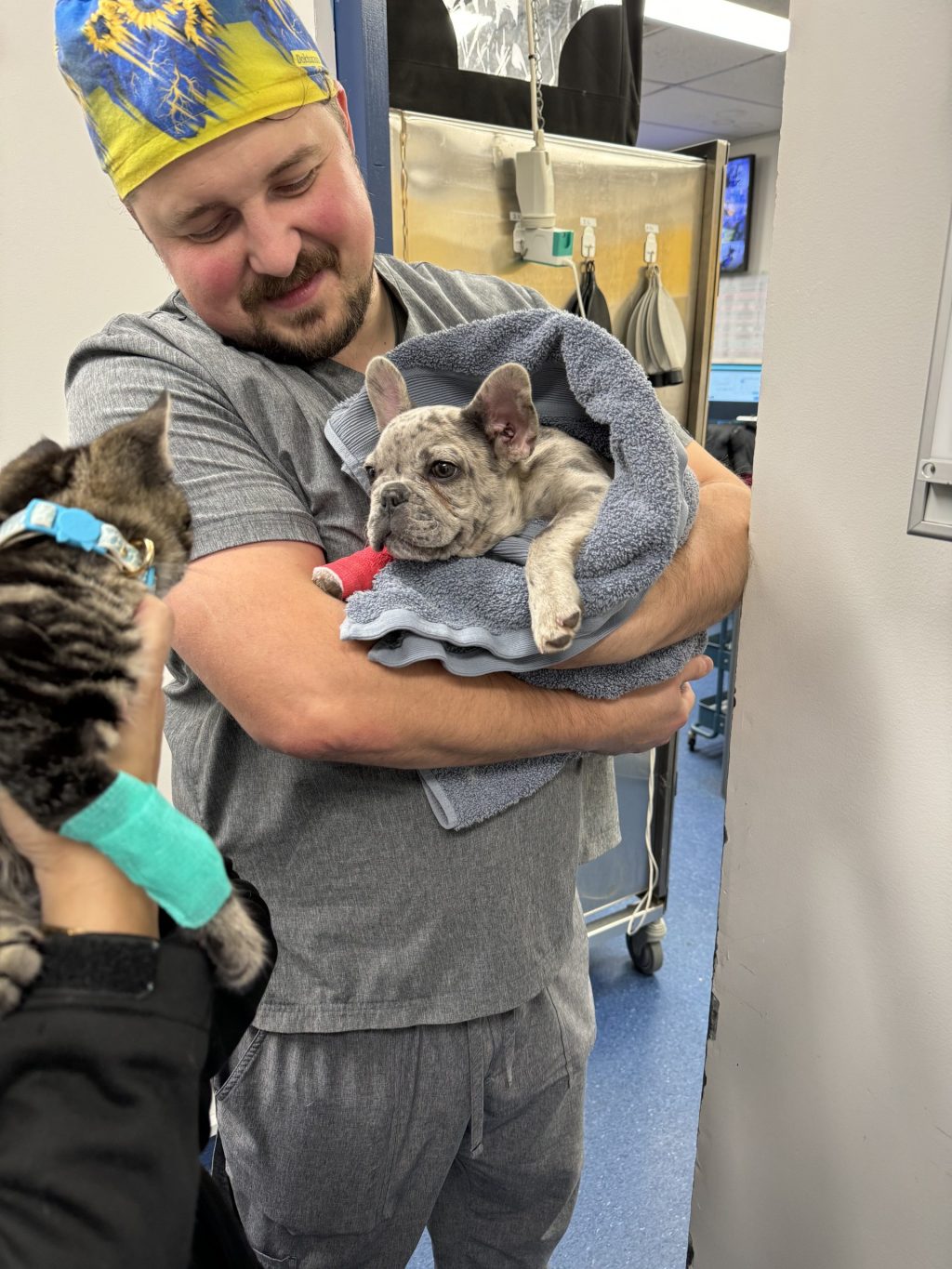 WellPet Vets - Emergency & Critical Care - Gallery 11