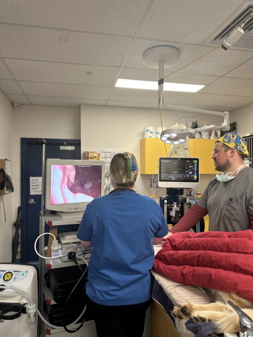 WellPet Vets - Emergency & Critical Care - Gallery 14