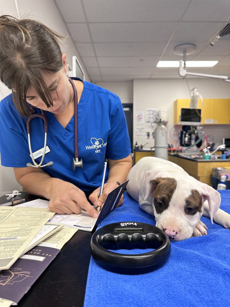 WellPet Vets - Gallery 05
