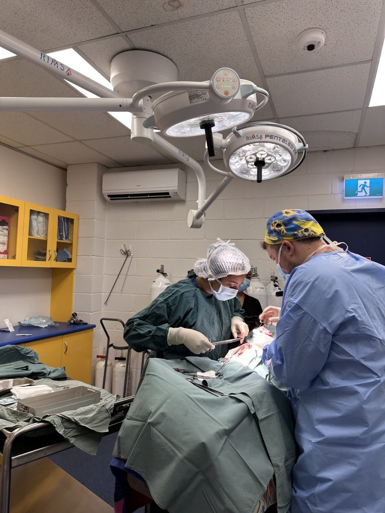 WellPet Vets - Gallery 10