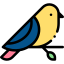 WellPet Vets - Exotic Pet Vet - Bird Vet Penrith