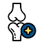 WellPet Vets - Surgical Services - Joint Surgery