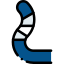 WellPet Vets - Surgical Services - Joint Surgery