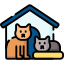 WellPet Vets - General Boarding & Cattery - Large Cat Run