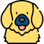 GP Services for Dogs