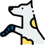 WellPet Vets - Surgical Services - Cruciate Ligament Surgery