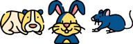 WellPet Vets - Rabbit & Rodent Vet
