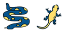 WellPet Vets - Exotic Pet Vet - Reptile Vet Penrith