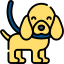 WellPet Vets - General Boarding & Cattery - Minimum 3 walks per day