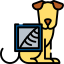 WellPet Vets - Pet Emergency & Critical Care Services - Digital X-Ray